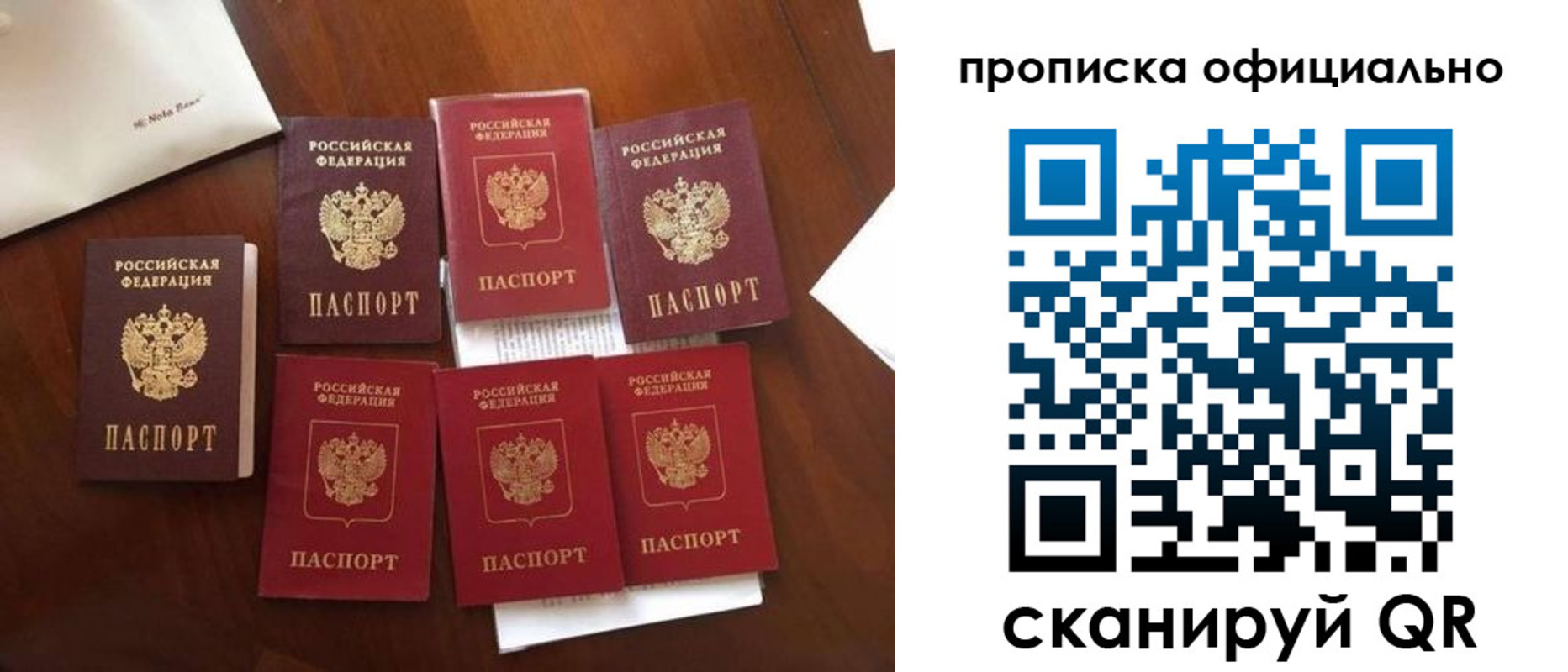 прописка законно в Химках